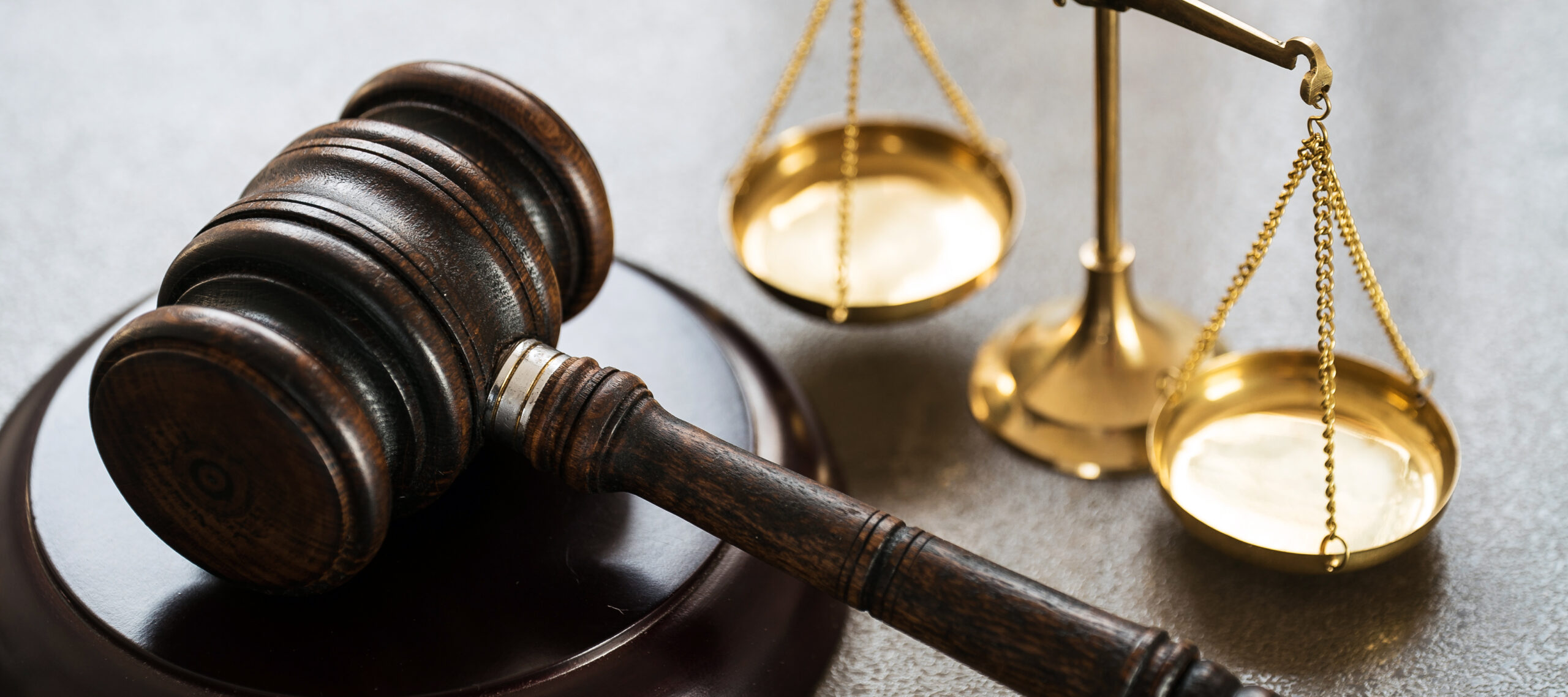 justice proces lafayette elsie scaled